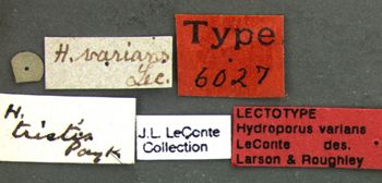 Media type: image;   Entomology 6027 Aspect: labels